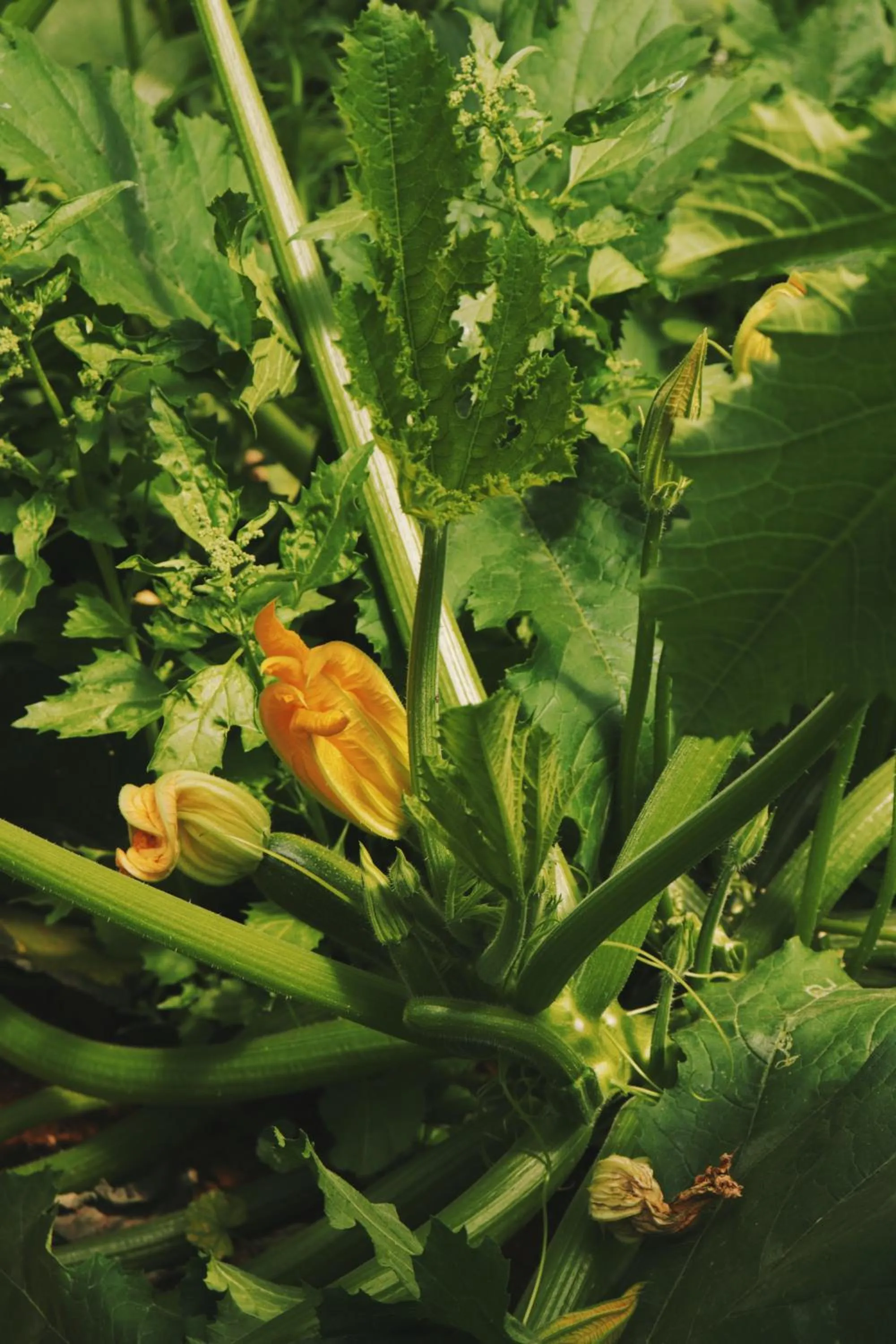Nearby landmark in Secolario Masseria del Viverbene