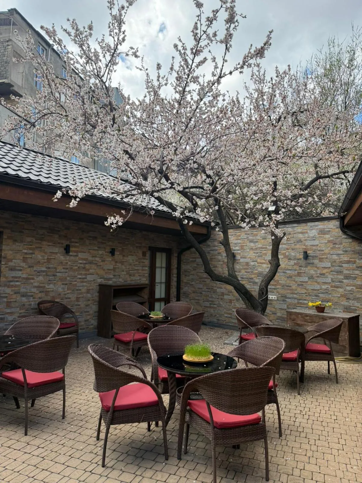 Boutique Living Hotel