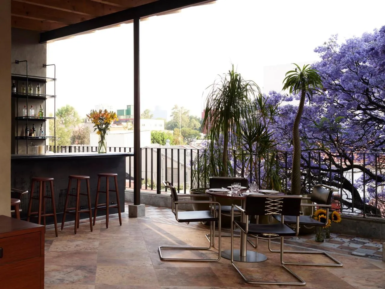 Restaurant/places to eat in Hotel Dama