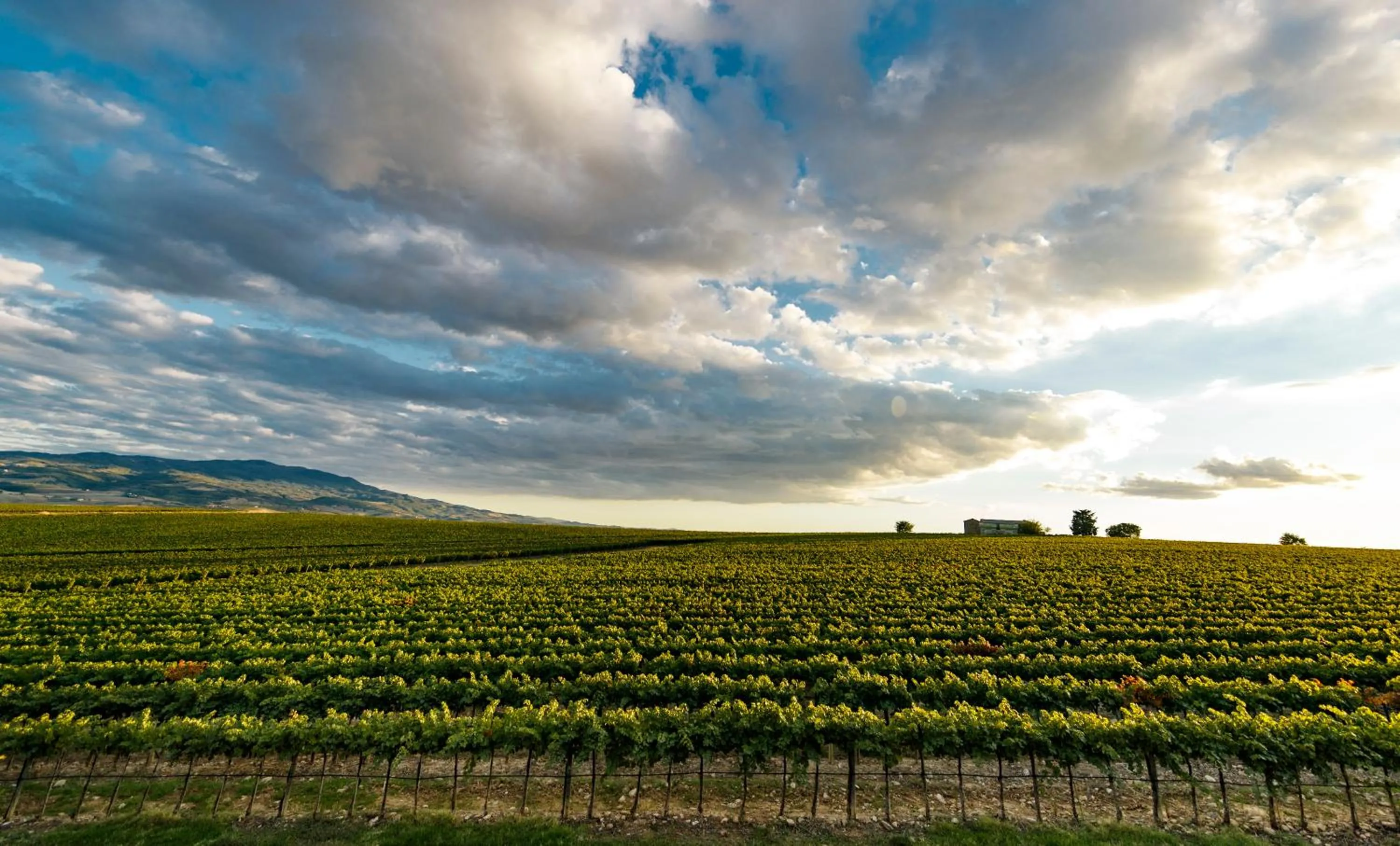 Natural landscape in Wine Relais In Montecucco - ColleMassari Hospitality