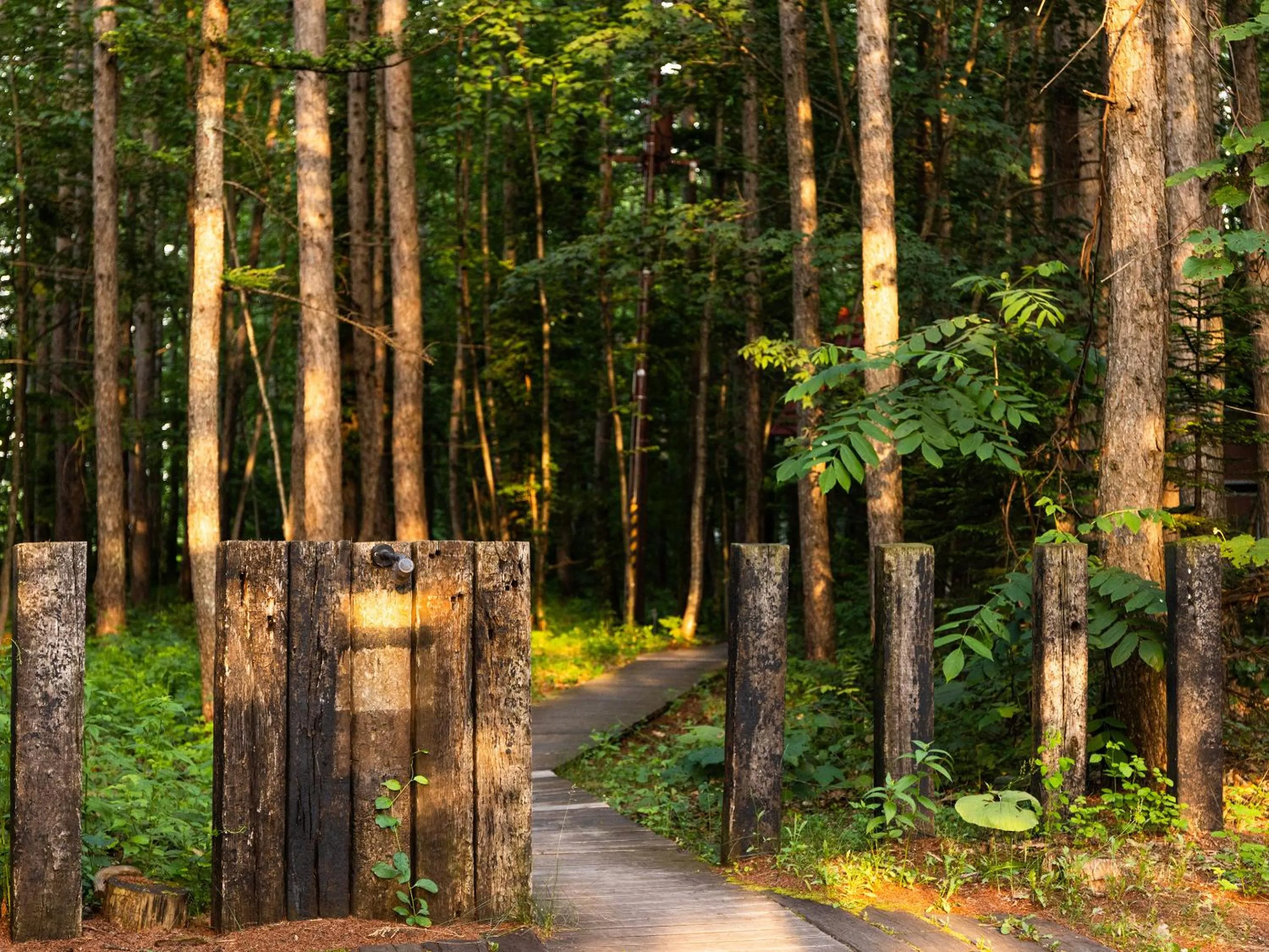 Day in Tokachi Nakasatsunai Glamping Resort Feriendorf