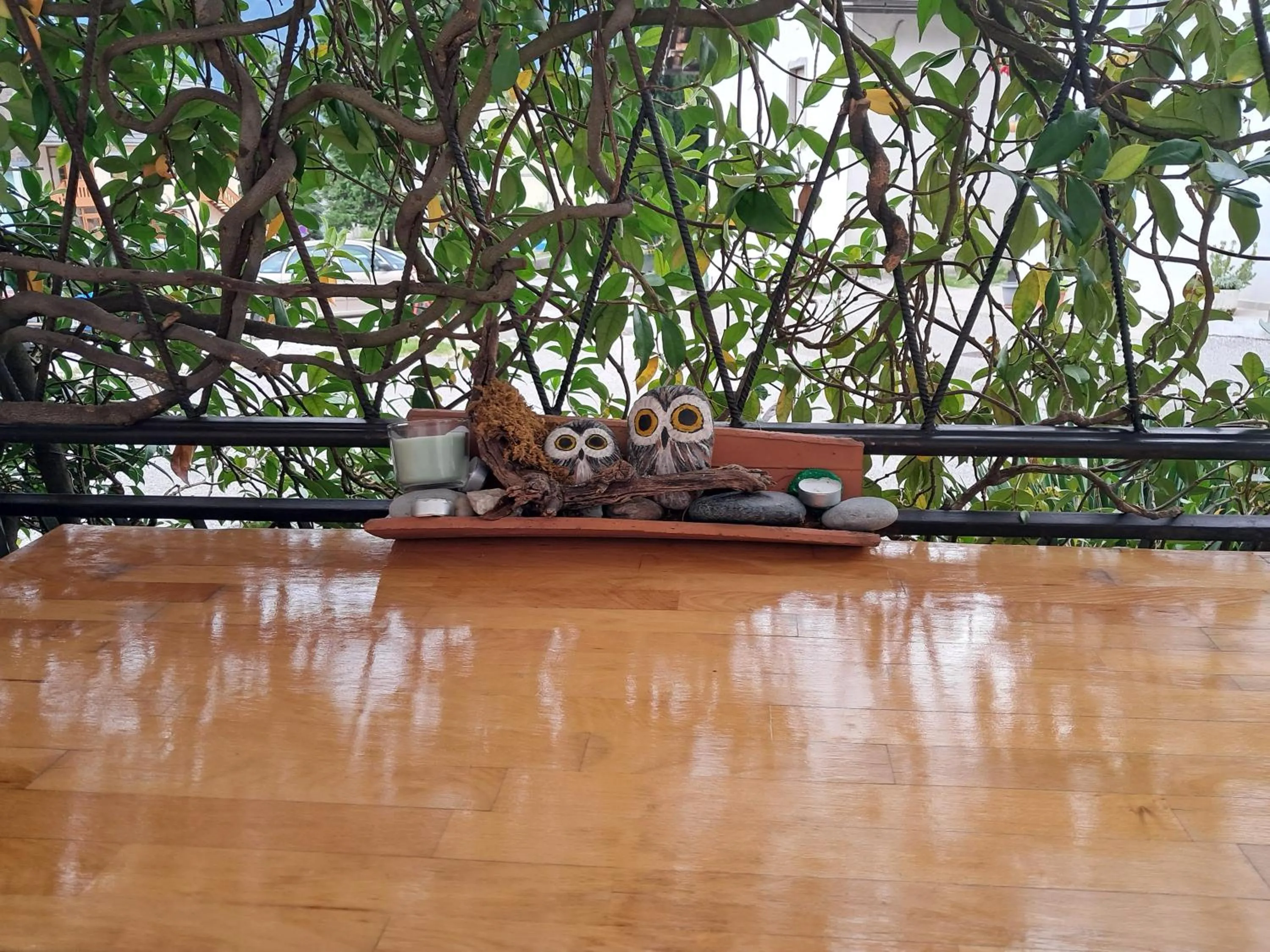 Apartment Norma