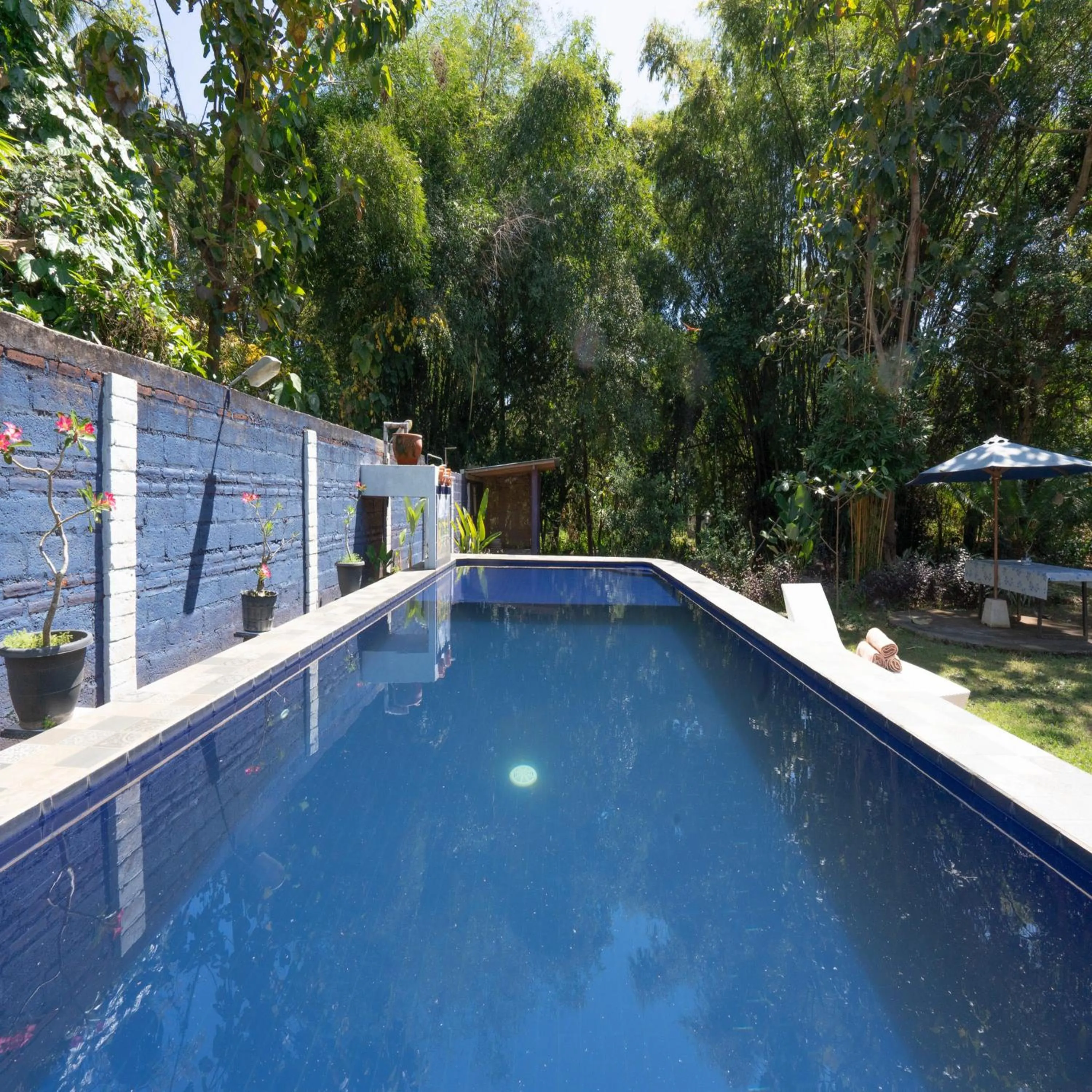 Swimming pool in Calm Haven Villa with Amabela Garden Lovina Beach