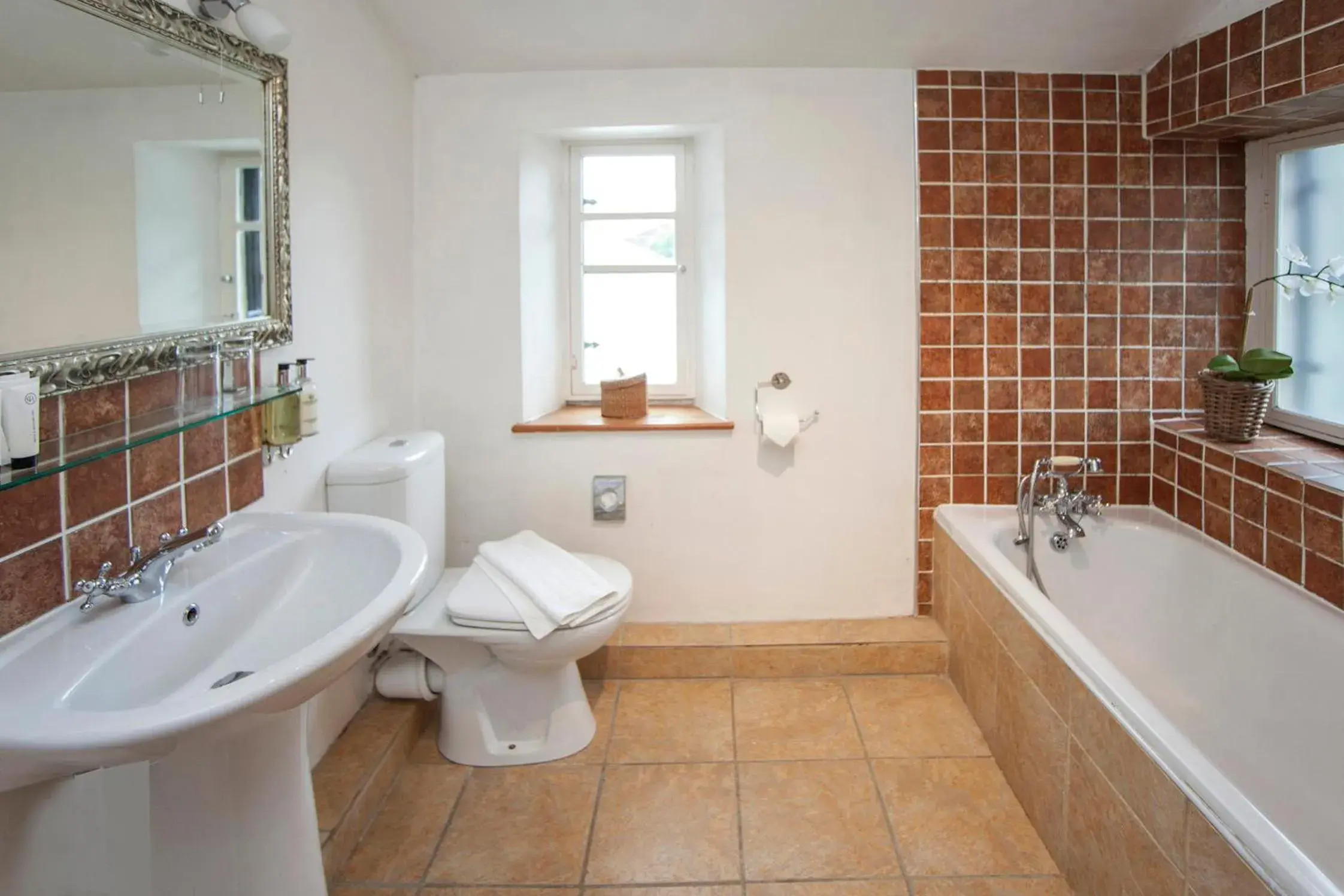 Twin Room in The Conigre Twin Room in The Conigre