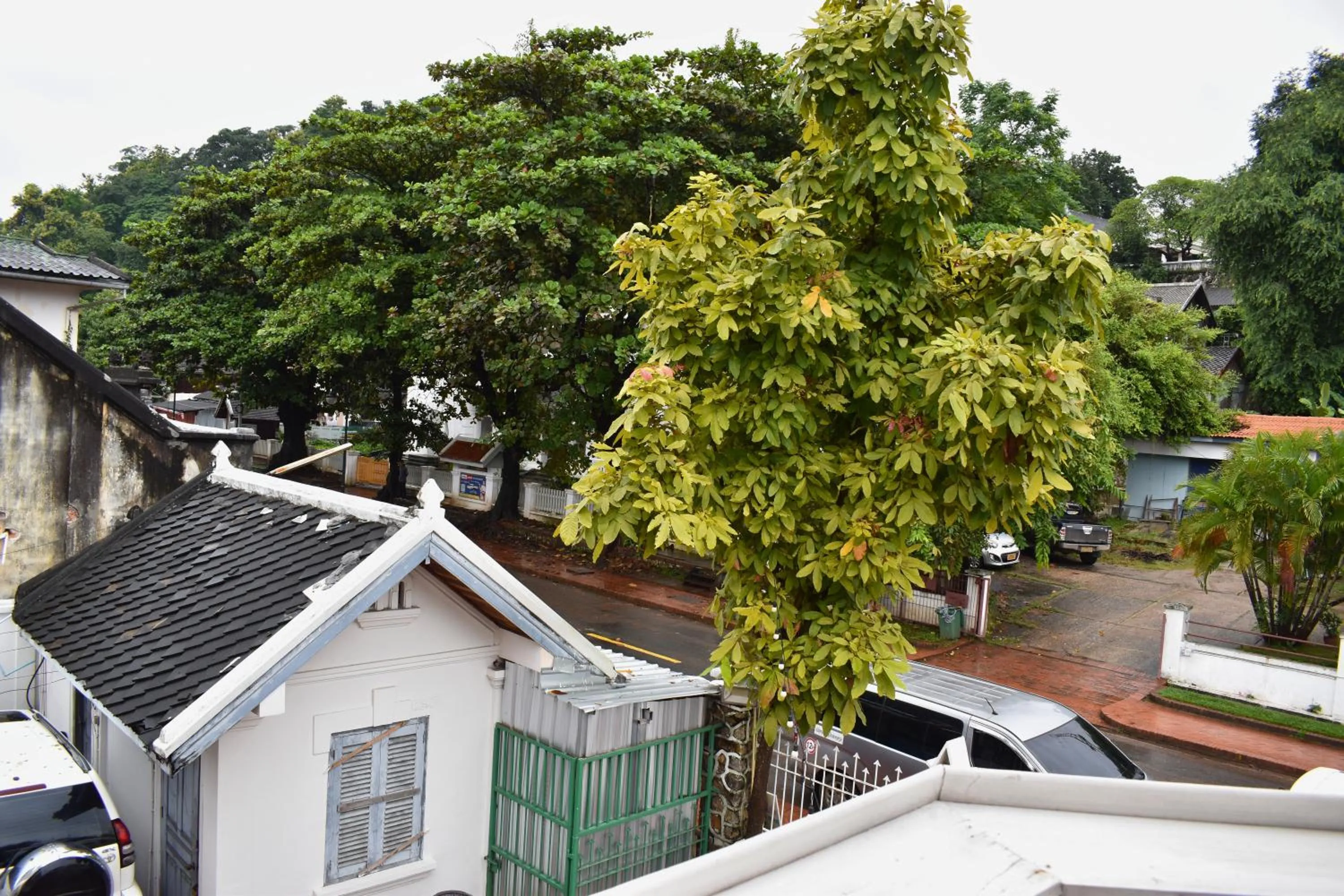 Spring in Monsane villa