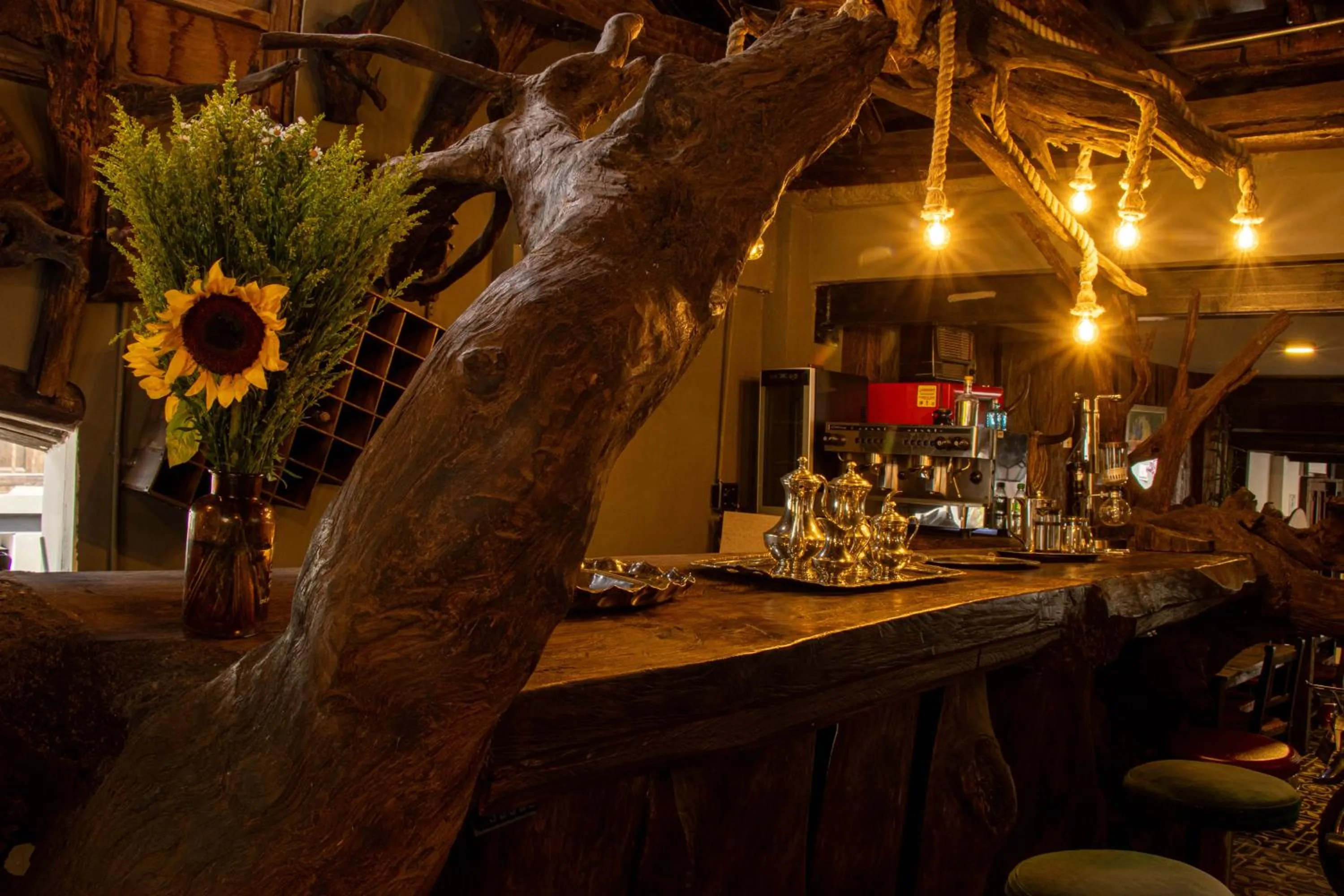 Restaurant/places to eat in Hotel Quinta Bolivar