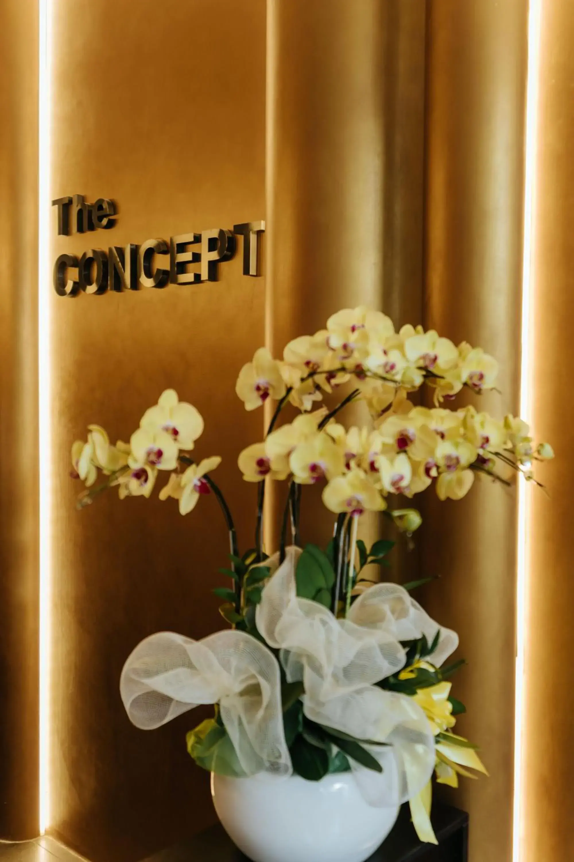 Lobby or reception in The Concept Hotel HCMC - City Center Lobby or reception in The Concept Hotel HCMC - City Center