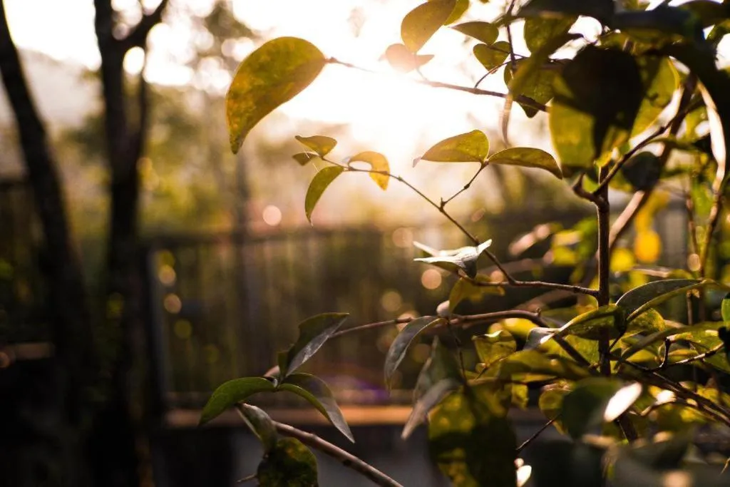 Spring in Pousada Paris Hostelli