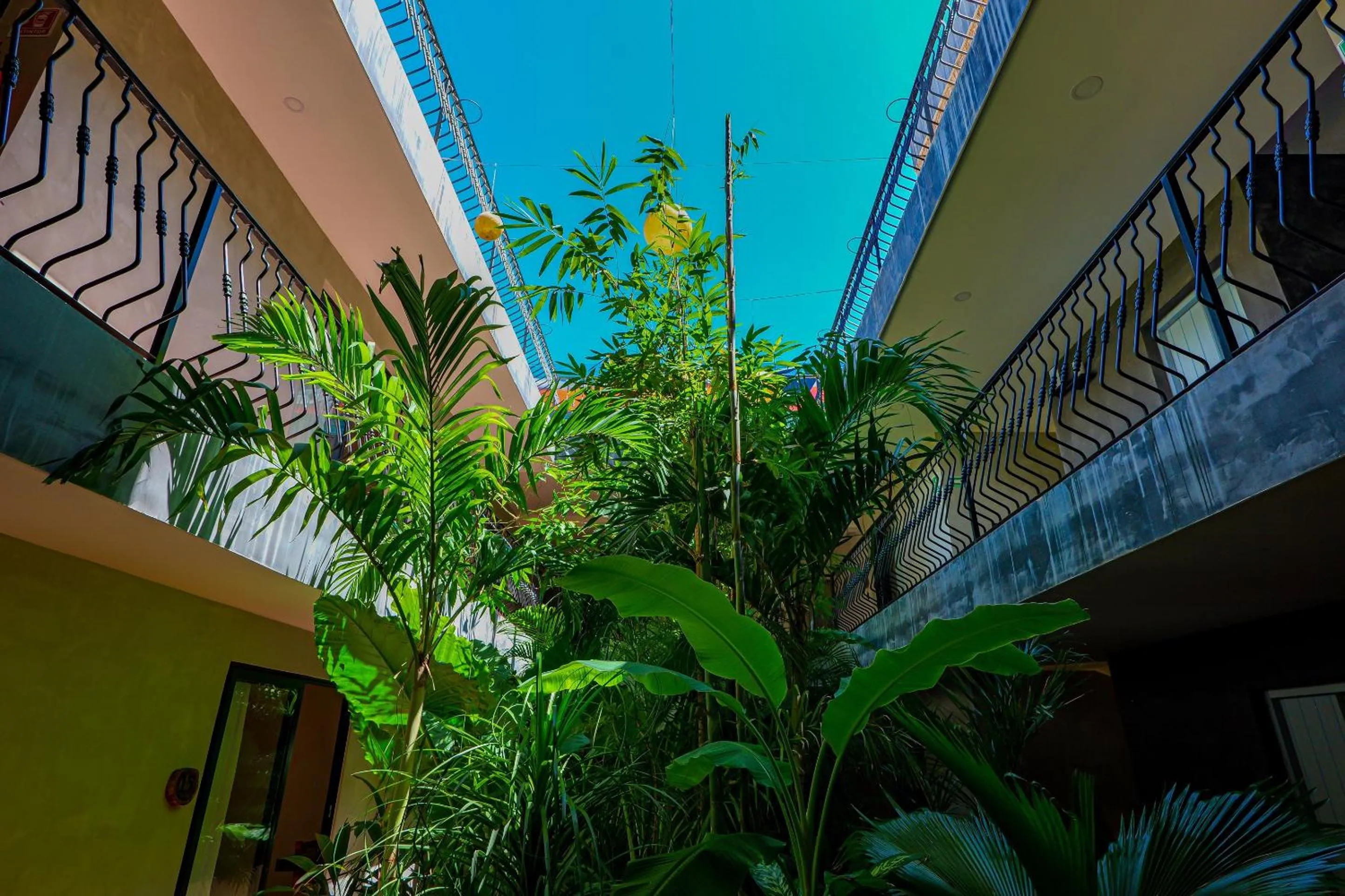 Property building in Calea Tulum Boutique Hotel