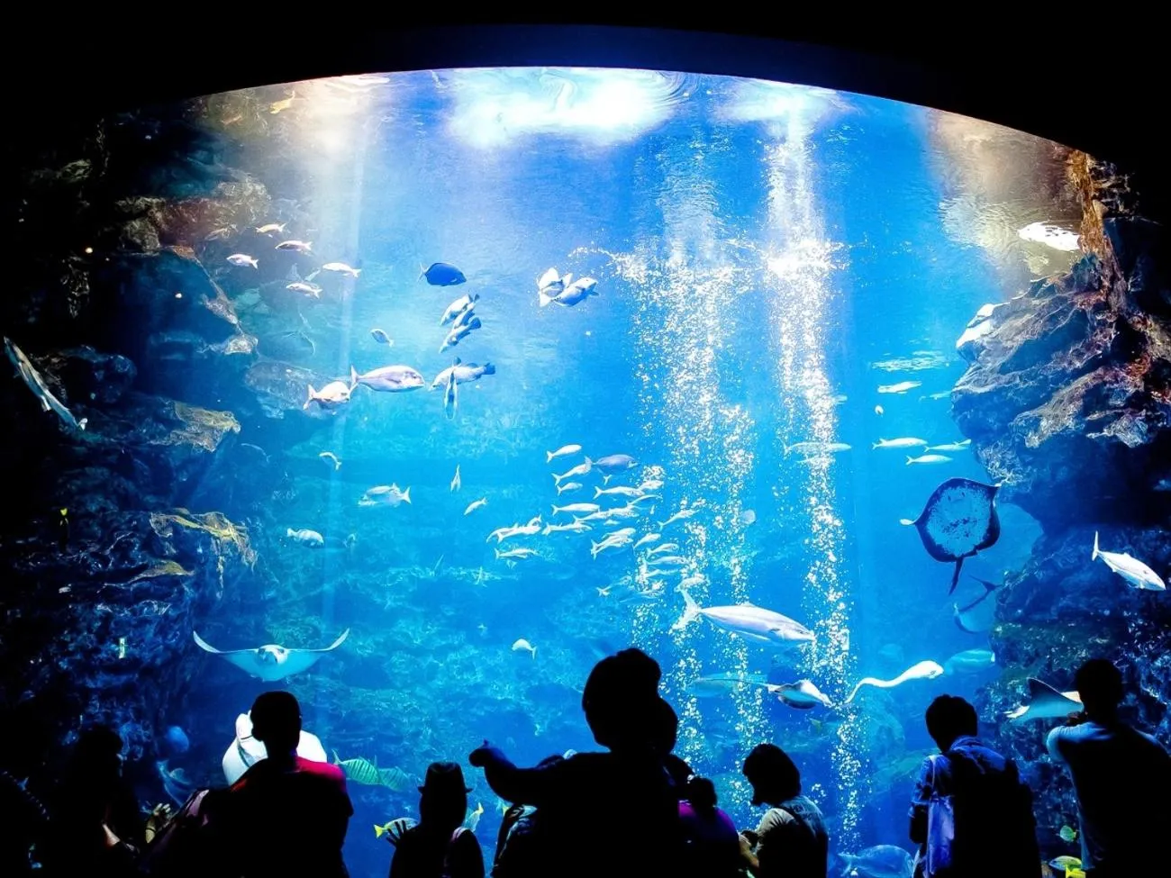 Nearby landmark in Giappo Franca Kyoto