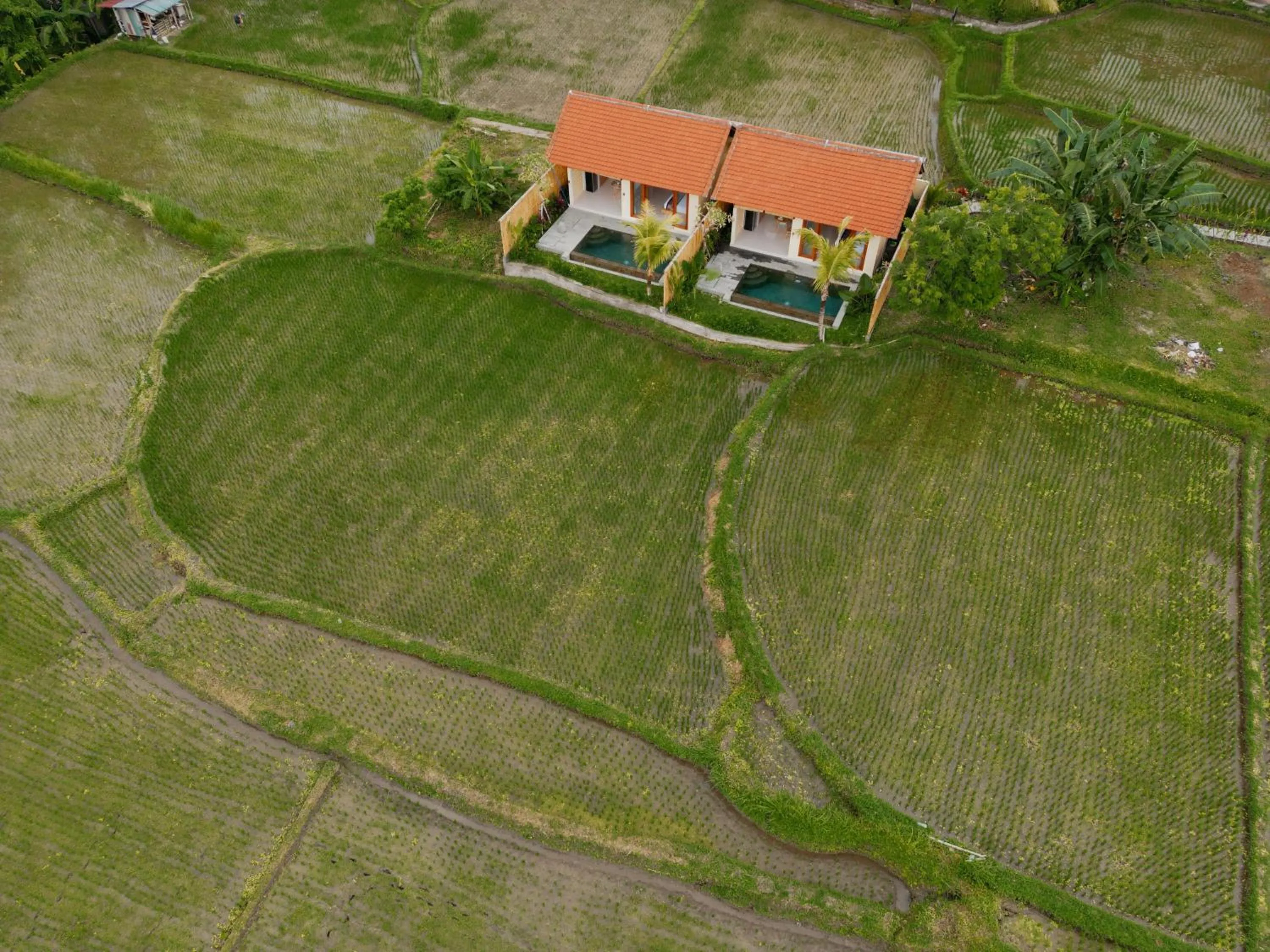 Property building in Uma Rimbun Pool Villa