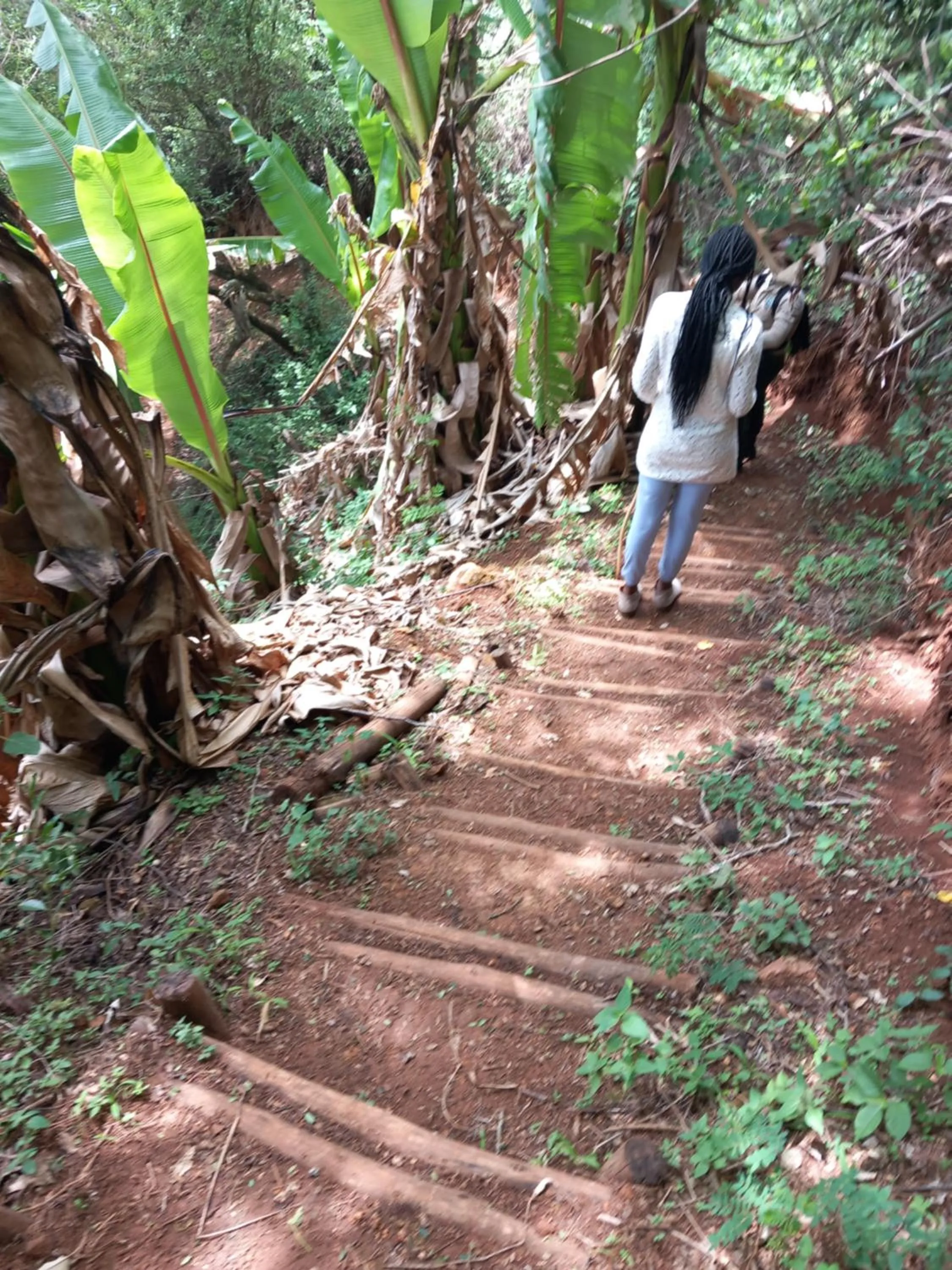 Hiking in B&B HOTEL