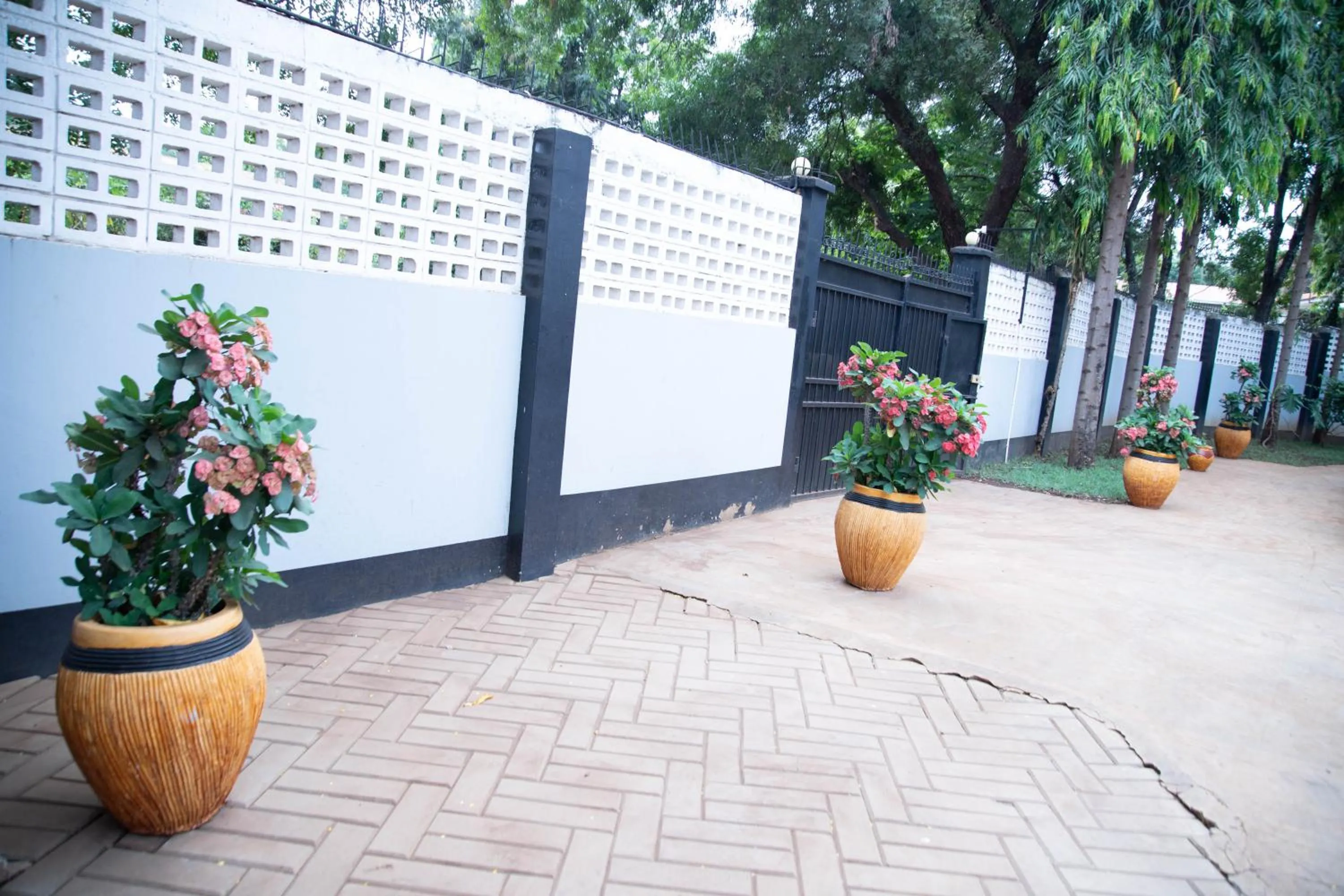 Garden in B&B HOTEL