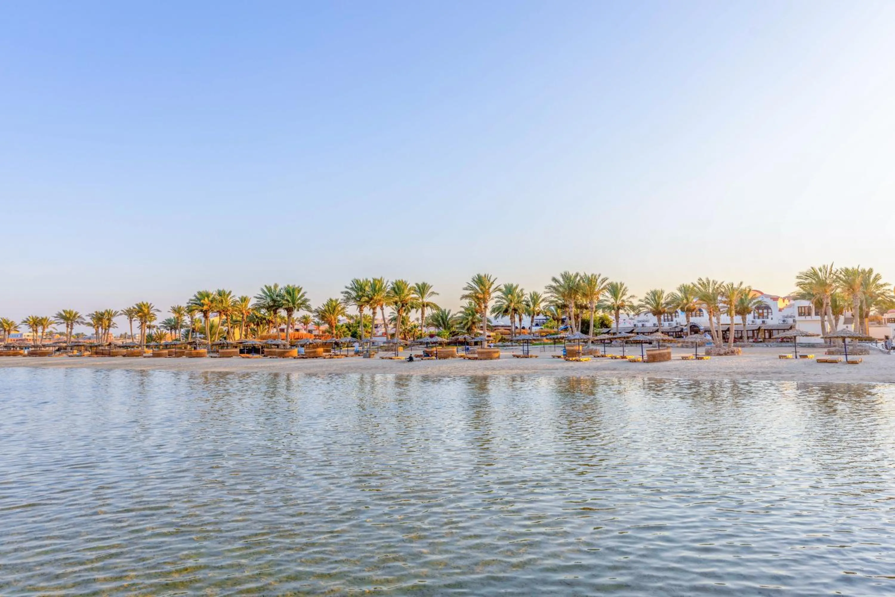 Natural landscape in Protels Beach Club & SPA