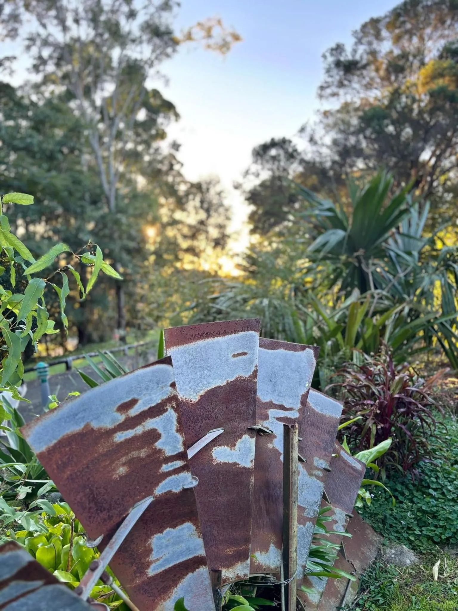 Noosa Hinterland Escape