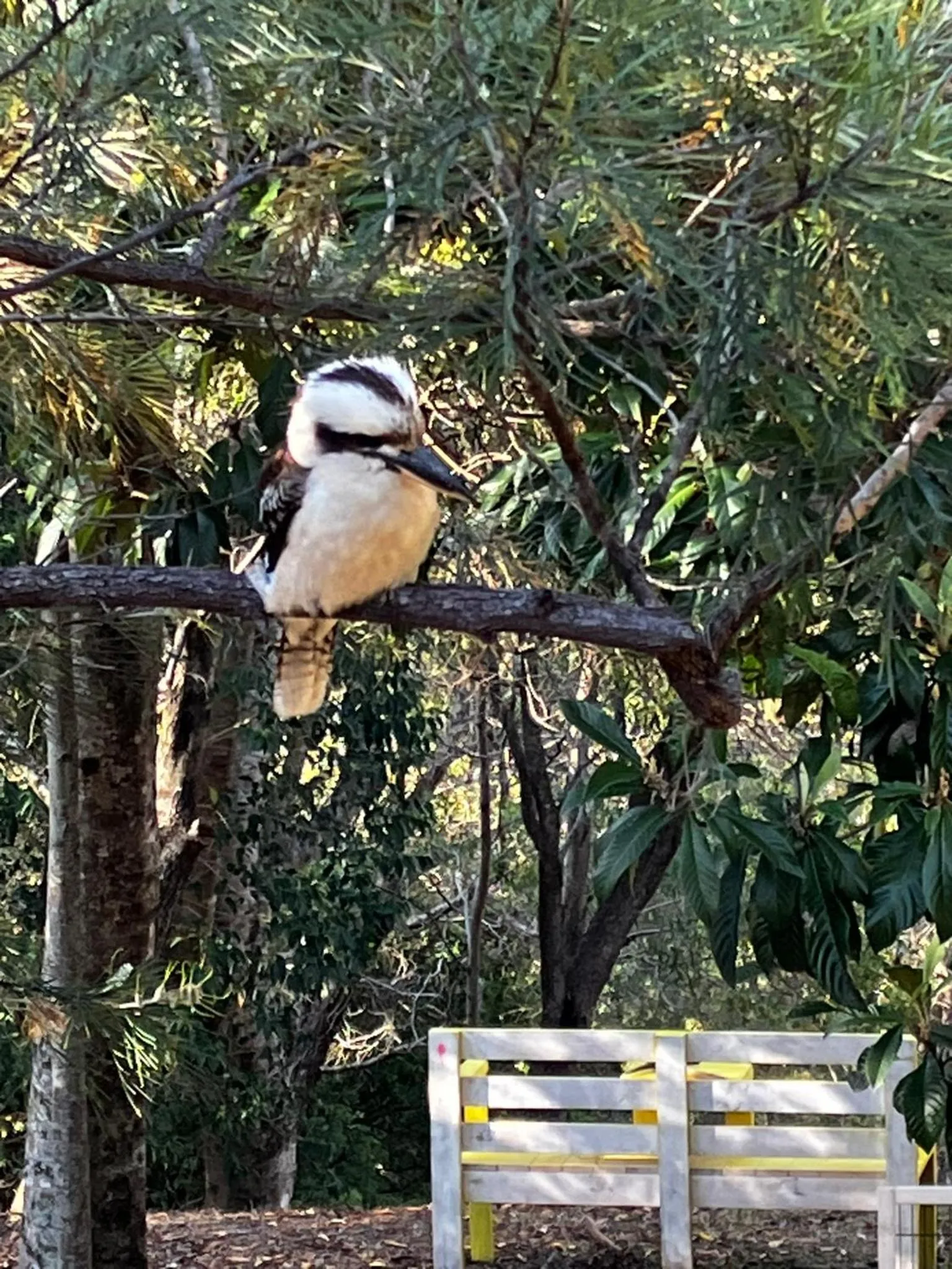Natural landscape in Noosa Hinterland Escape