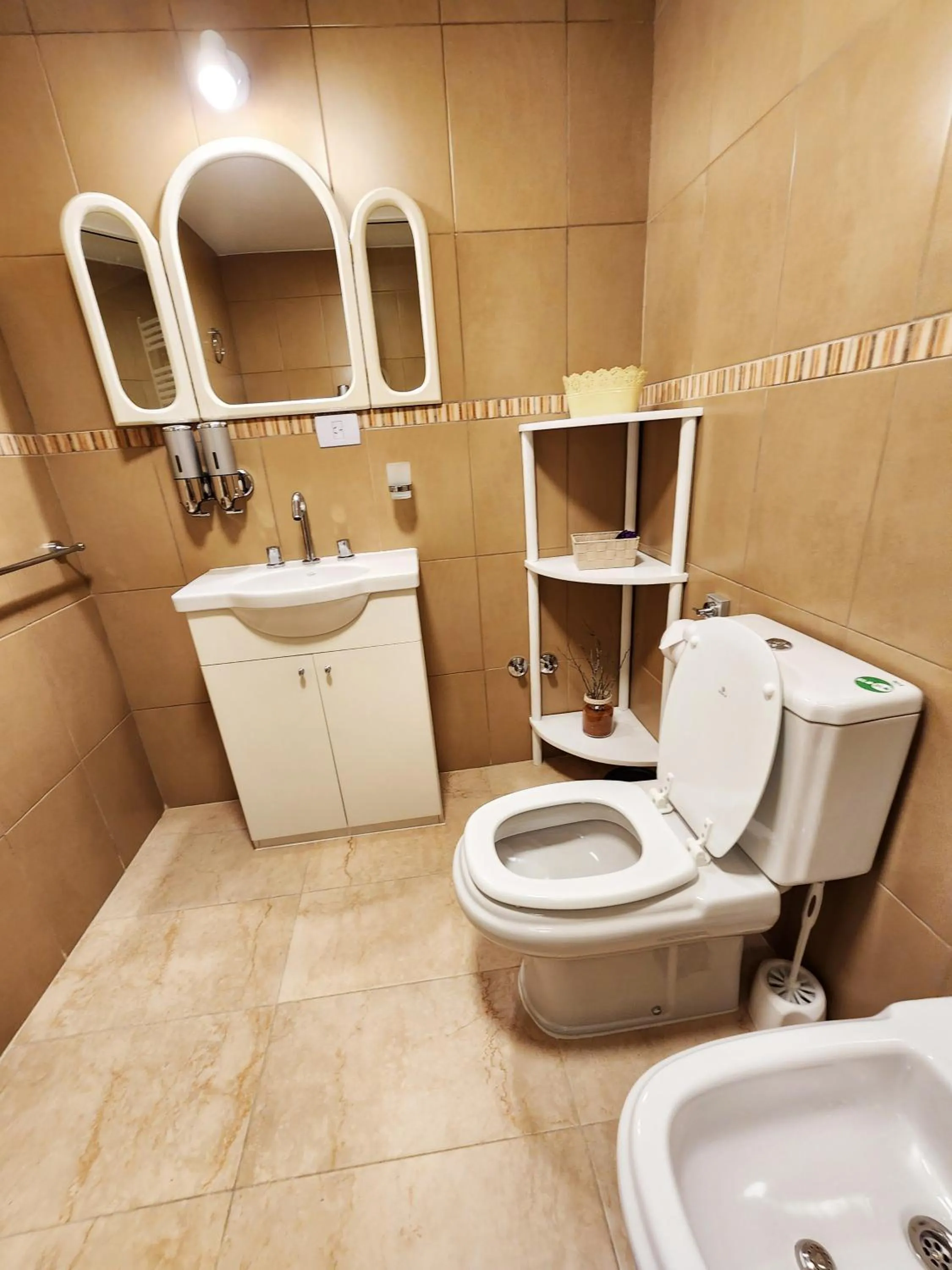 Toilet in COMARCA SUR Apartamentos