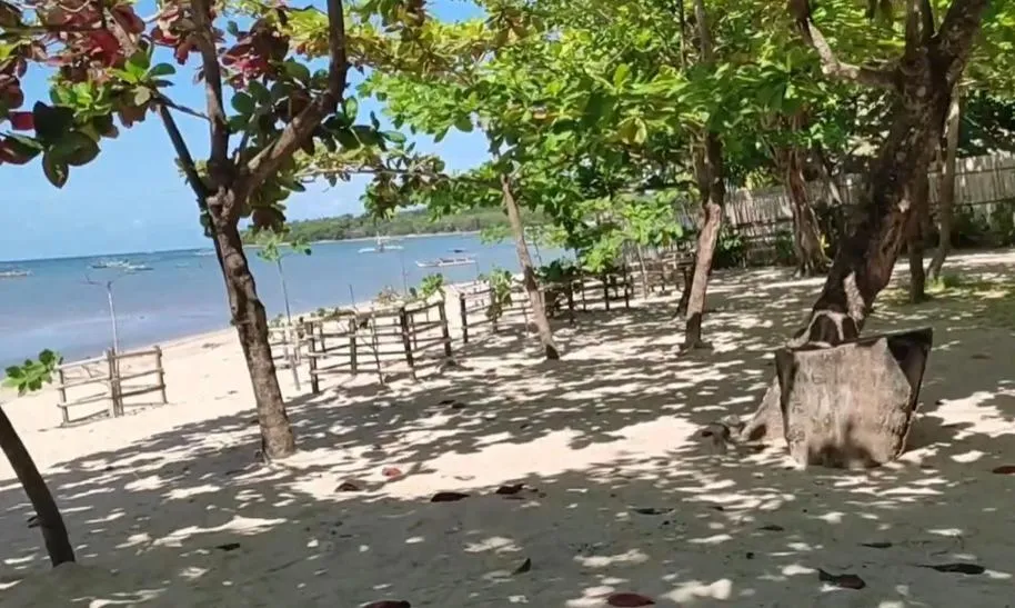 Beach in Palm Garden Resort