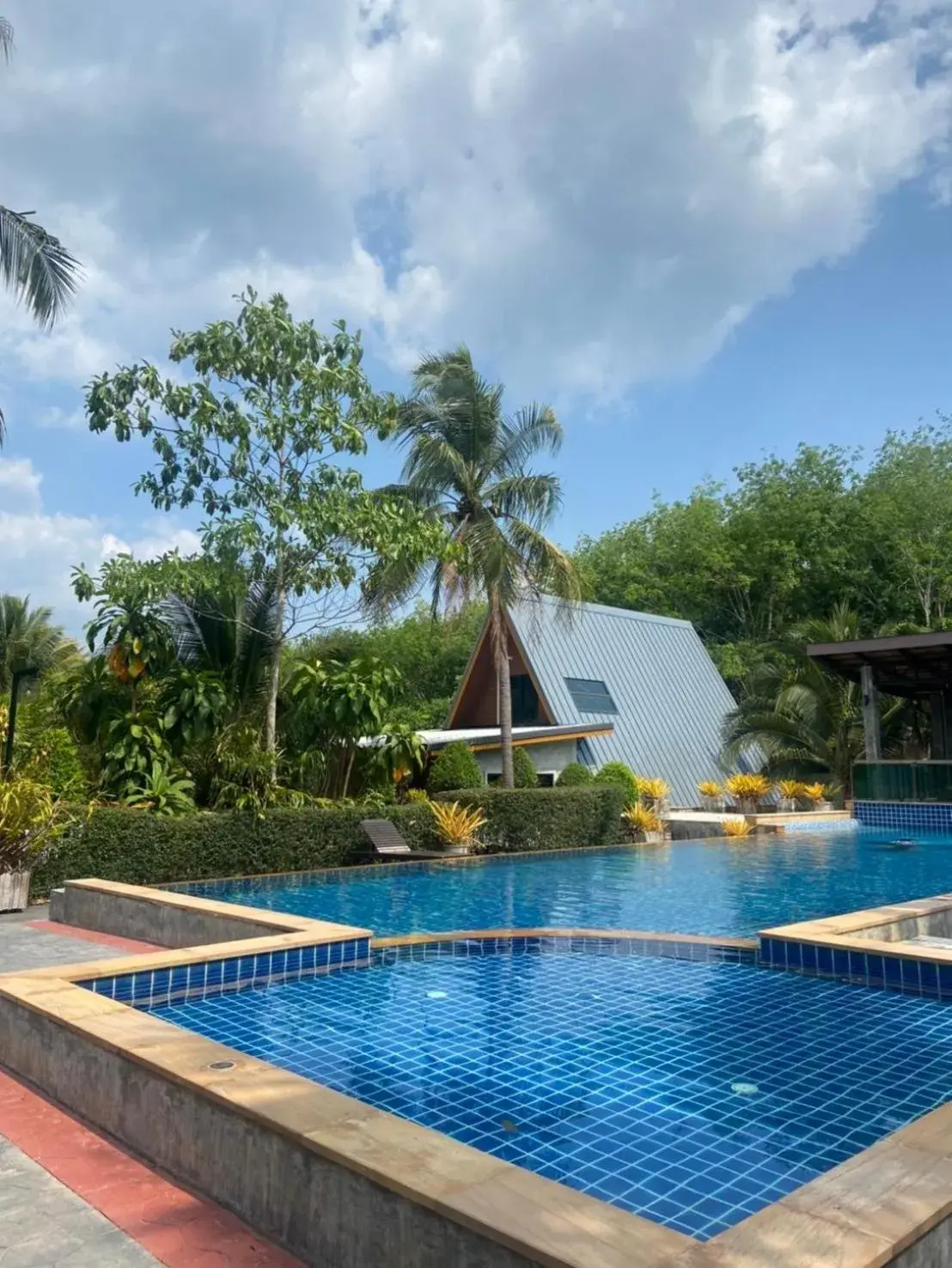 Swimming pool in Infinite Resort and Cafe Swimming pool in Infinite Resort and Cafe