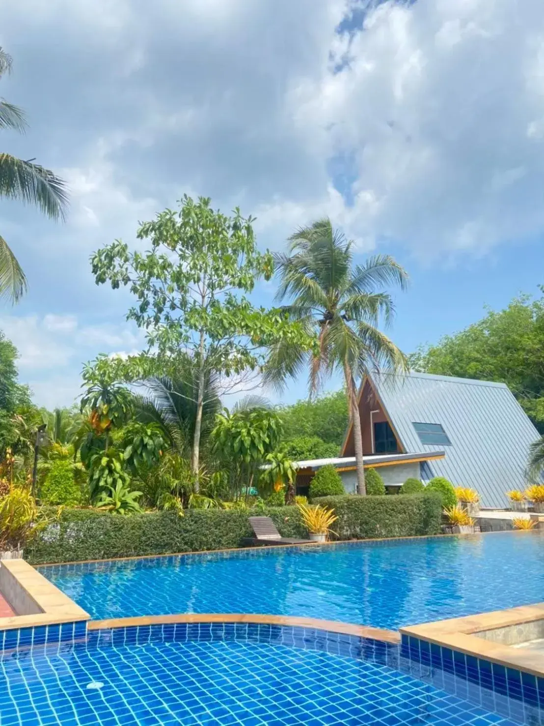 Swimming pool in Infinite Resort and Cafe Swimming pool in Infinite Resort and Cafe