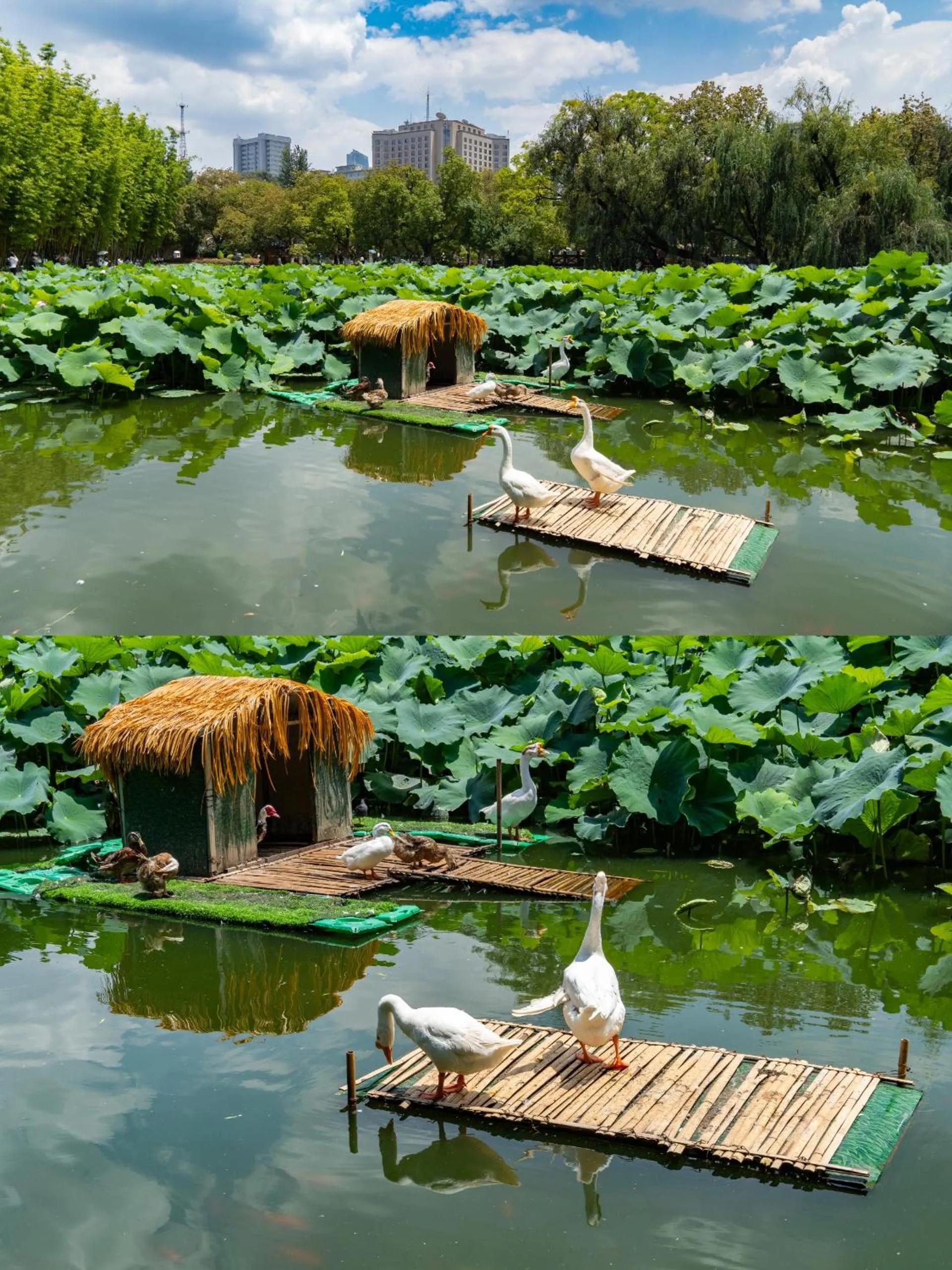 Natural landscape in Nostalgia S Hotel Kunming Old Street