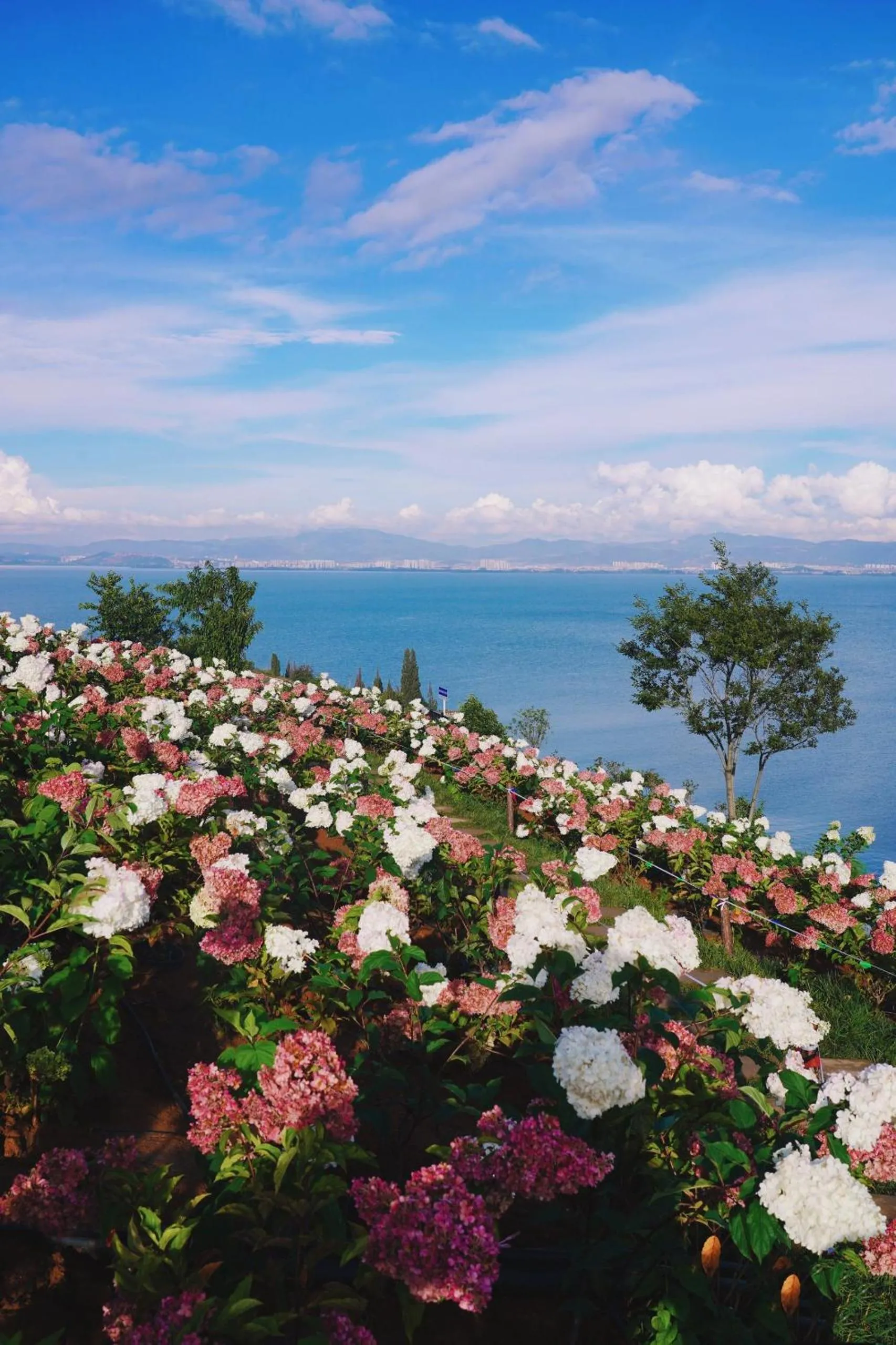 Natural landscape in Nostalgia S Hotel Kunming Old Street
