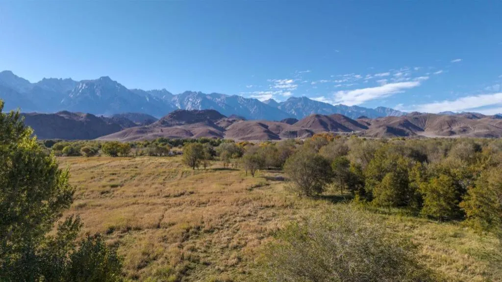 Best Western Frontier Motel