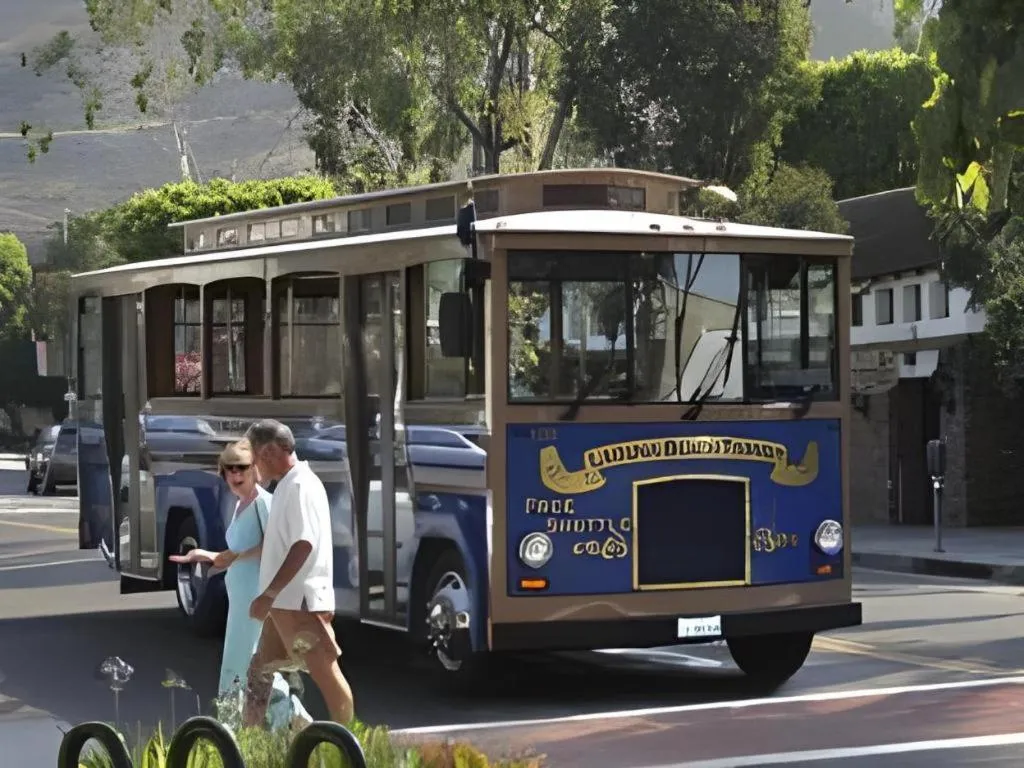 Laguna Brisas - A Beach Hotel
