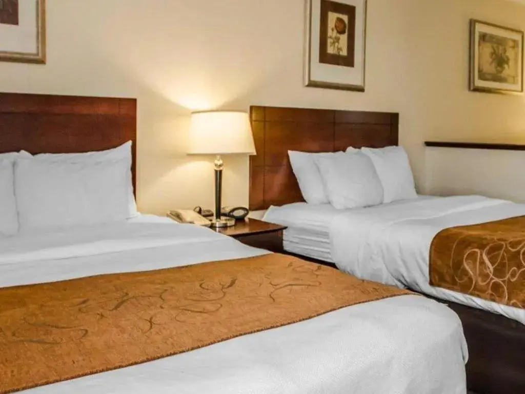 Bed in Quality Suites Jeffersonville - Louisville North Bed in Quality Suites Jeffersonville - Louisville North