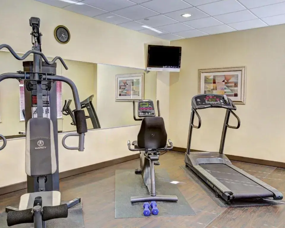 Comfort Suites Comfort Suites