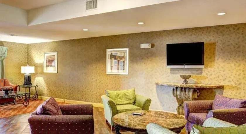 Comfort Suites Comfort Suites