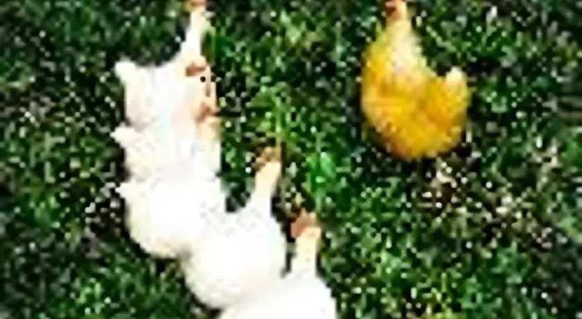 K-1 Modern Art Hotel @ Nan K-1 Modern Art Hotel @ Nan