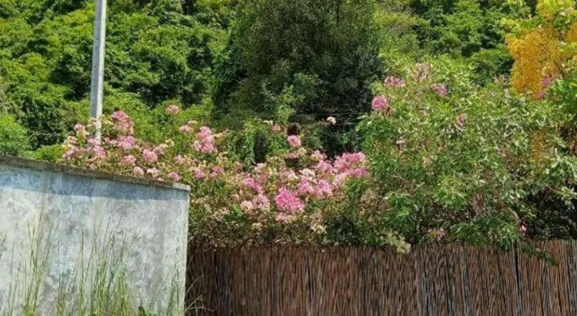 Brassiere Beach Hotel