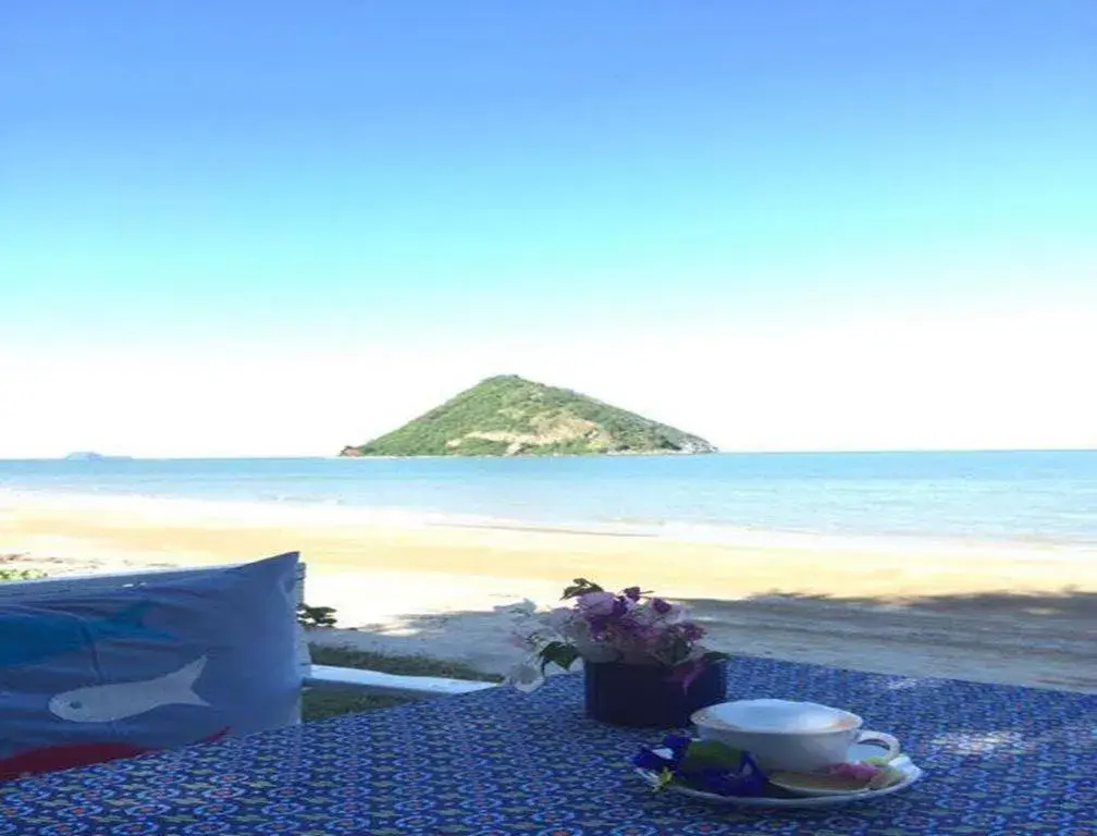 Brassiere Beach Hotel Brassiere Beach Hotel