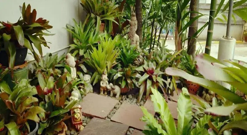 Loei Orchid Hotel Loei Orchid Hotel