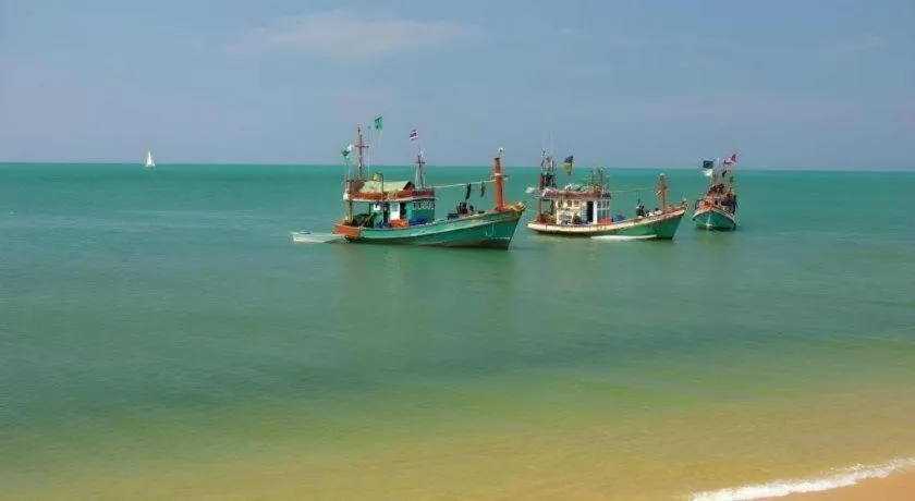 Sea Falcon on the Water