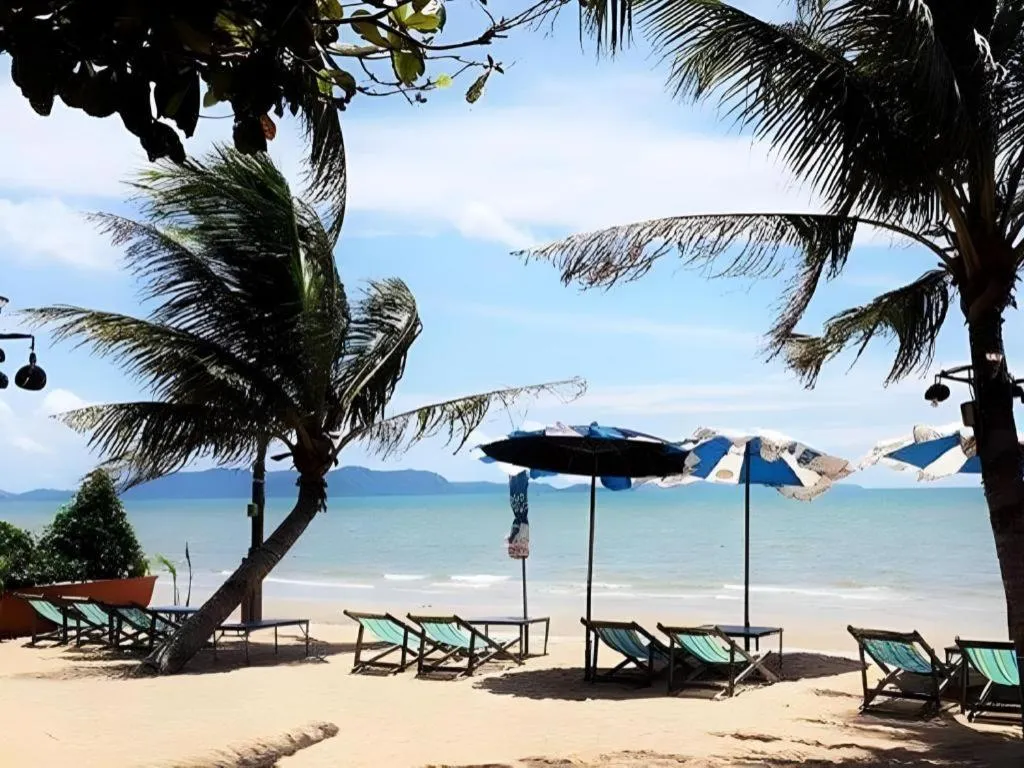 Sea Falcon on the Water
