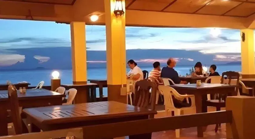 Sea Falcon on the Water Sea Falcon on the Water