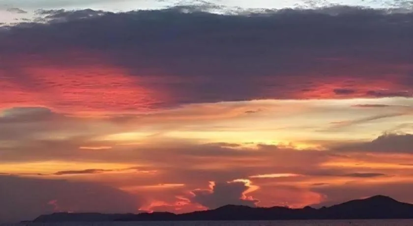 Sea Falcon on the Water