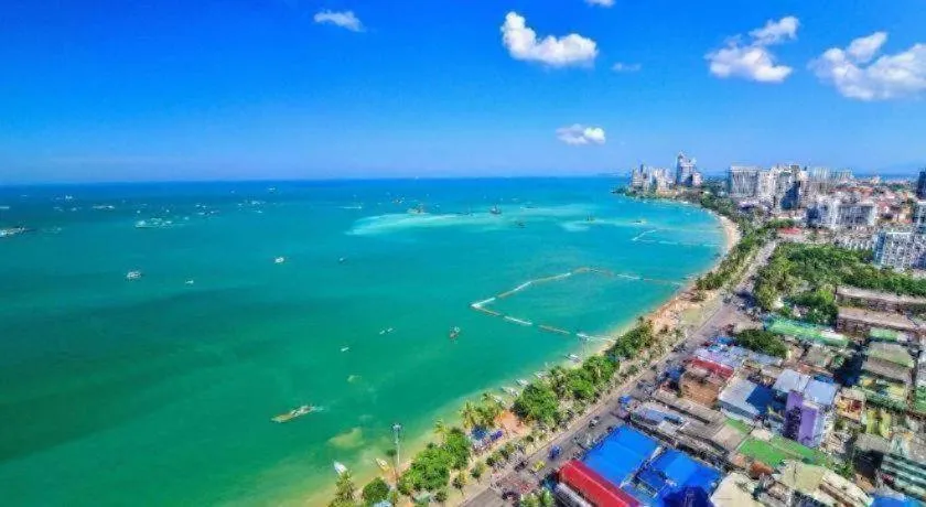 Sea Falcon on the Water