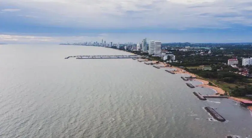 Sea Falcon on the Water Sea Falcon on the Water