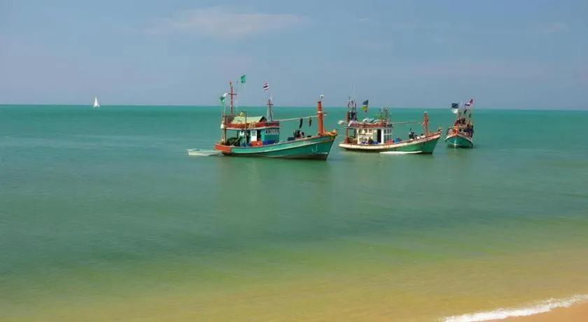 Sea Falcon on the Water