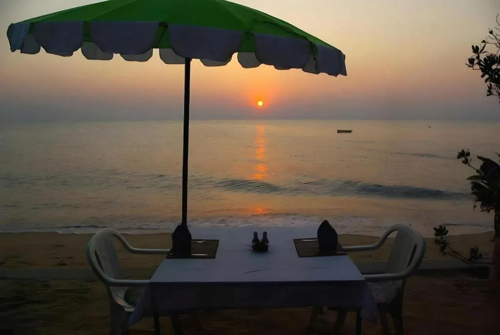 Sea Falcon on the Water