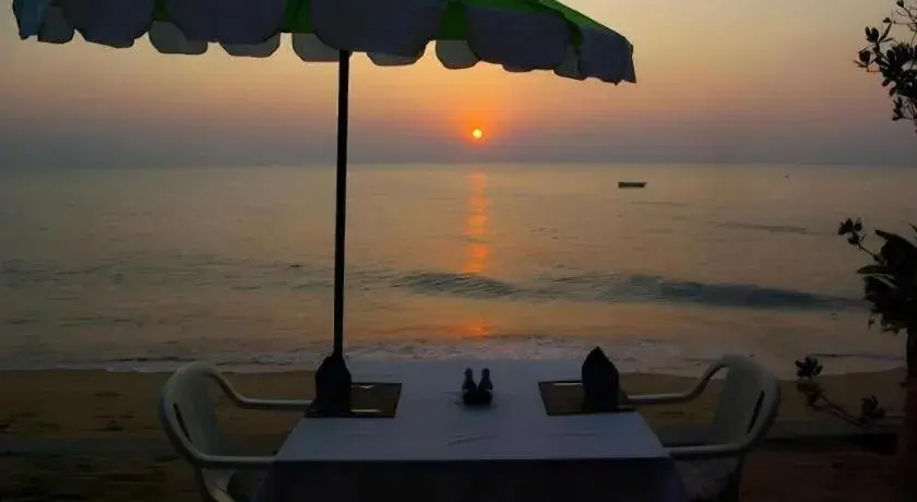 Sea Falcon on the Water Sea Falcon on the Water