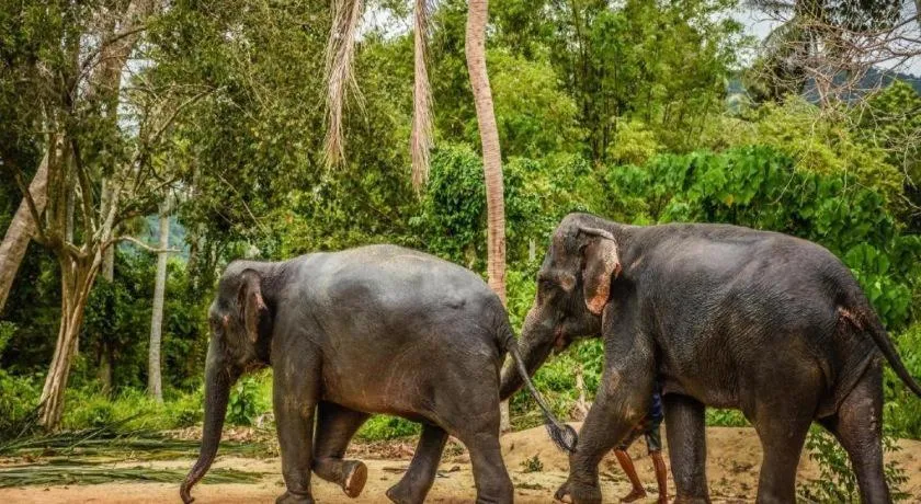 The Living Pool Villas