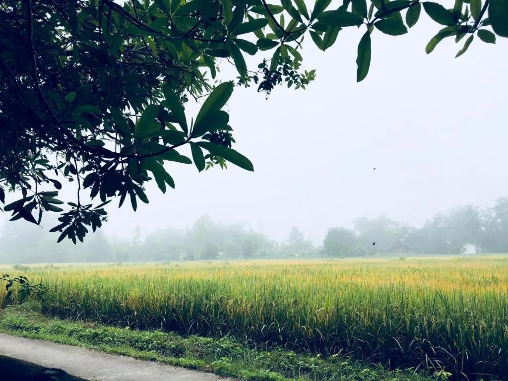 Khun Nai Tern Sai Hotel