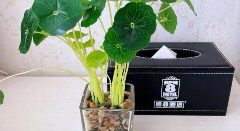 Super 8 Hotel Xiamen Railway Station