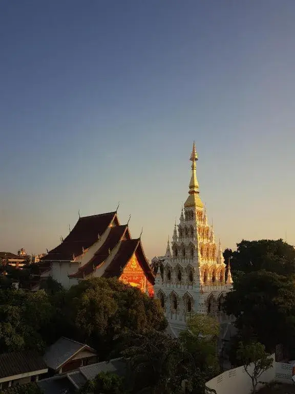 Sunshine House Sunshine House