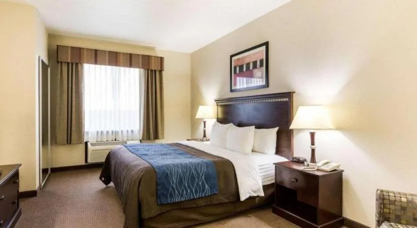 Bed in Comfort Inn & Suites Winnie