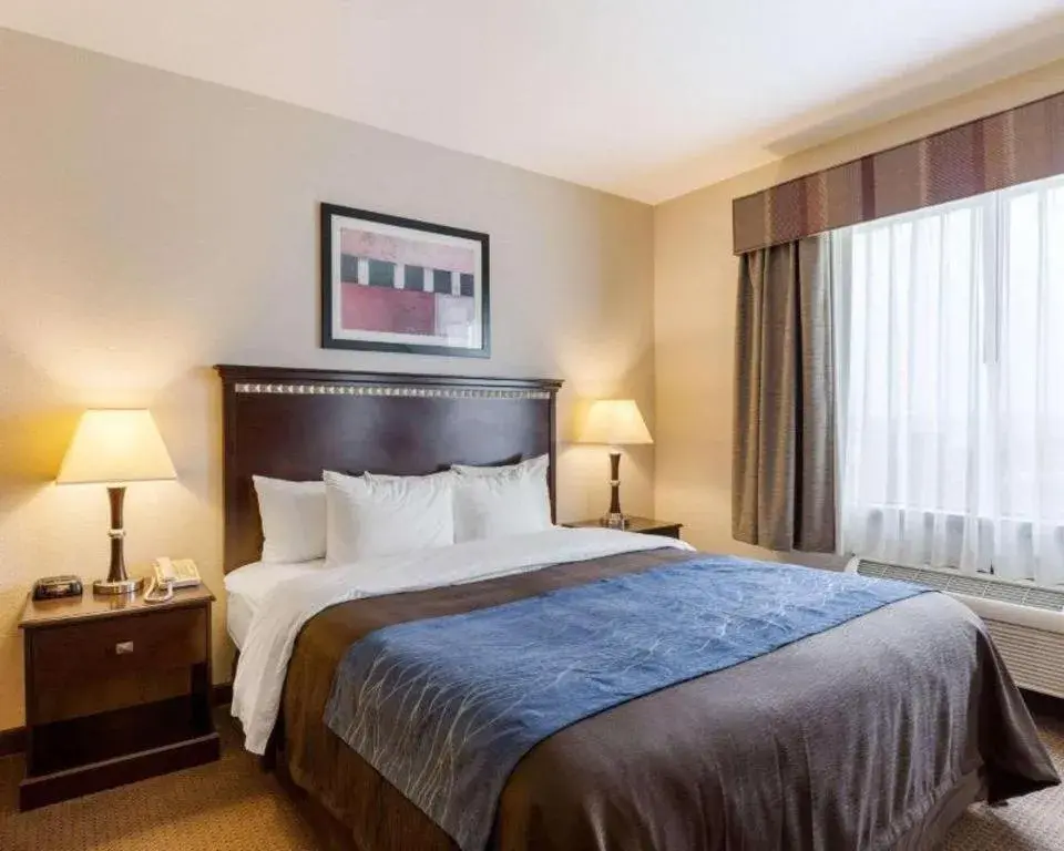 Bed in Comfort Inn & Suites Winnie Bed in Comfort Inn & Suites Winnie